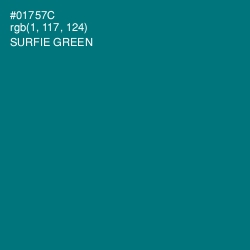 #01757C - Surfie Green Color Image