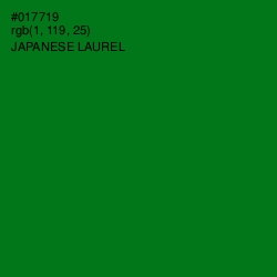#017719 - Japanese Laurel Color Image