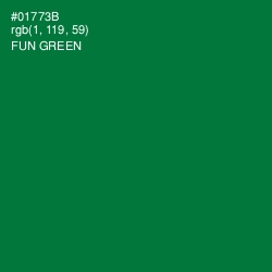 #01773B - Fun Green Color Image