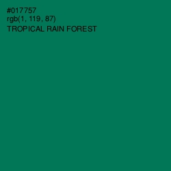 #017757 - Tropical Rain Forest Color Image