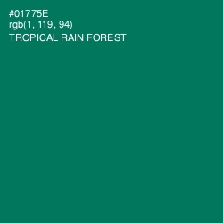 #01775E - Tropical Rain Forest Color Image