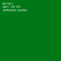 #017817 - Japanese Laurel Color Image