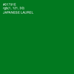 #01791E - Japanese Laurel Color Image