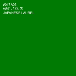 #017A03 - Japanese Laurel Color Image