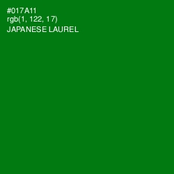 #017A11 - Japanese Laurel Color Image