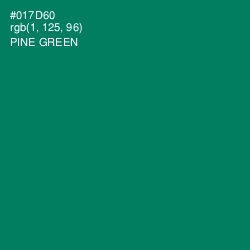 #017D60 - Pine Green Color Image