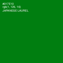#017E10 - Japanese Laurel Color Image