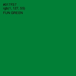 #017F37 - Fun Green Color Image