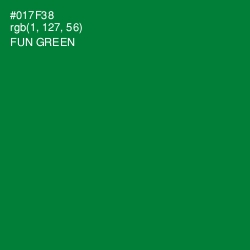 #017F38 - Fun Green Color Image