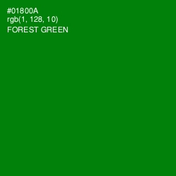 #01800A - Forest Green Color Image