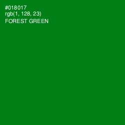 #018017 - Forest Green Color Image