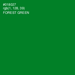 #018027 - Forest Green Color Image