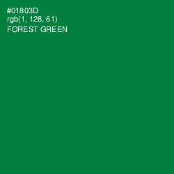 #01803D - Forest Green Color Image