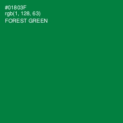 #01803F - Forest Green Color Image