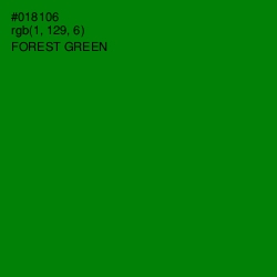 #018106 - Forest Green Color Image