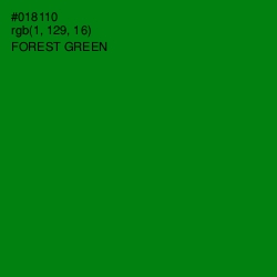 #018110 - Forest Green Color Image