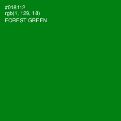 #018112 - Forest Green Color Image