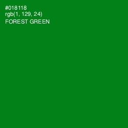 #018118 - Forest Green Color Image