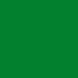 #01812D - Forest Green Color Image