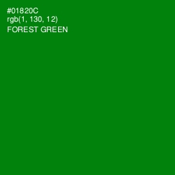 #01820C - Forest Green Color Image