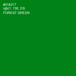 #018217 - Forest Green Color Image