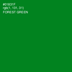 #01831F - Forest Green Color Image