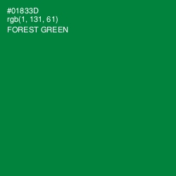 #01833D - Forest Green Color Image