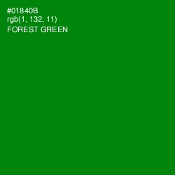 #01840B - Forest Green Color Image