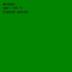 #018501 - Forest Green Color Image