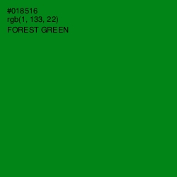 #018516 - Forest Green Color Image