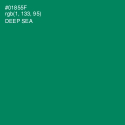 #01855F - Deep Sea Color Image