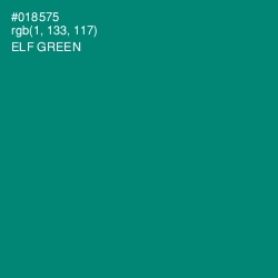 #018575 - Elf Green Color Image