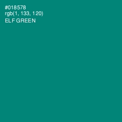 #018578 - Elf Green Color Image