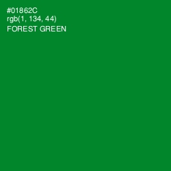 #01862C - Forest Green Color Image