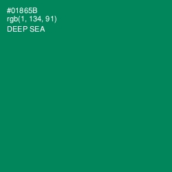 #01865B - Deep Sea Color Image