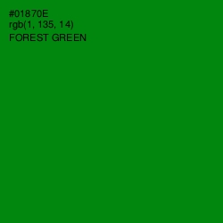 #01870E - Forest Green Color Image