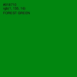 #018710 - Forest Green Color Image