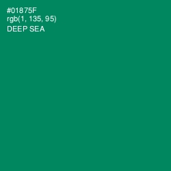 #01875F - Deep Sea Color Image