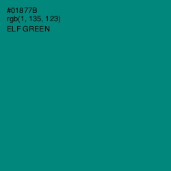 #01877B - Elf Green Color Image