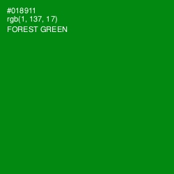 #018911 - Forest Green Color Image