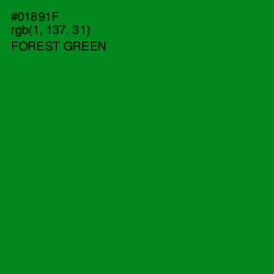 #01891F - Forest Green Color Image