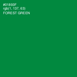 #01893F - Forest Green Color Image