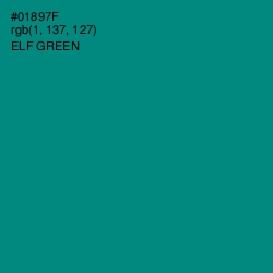 #01897F - Elf Green Color Image