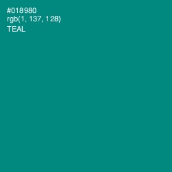 #018980 - Teal Color Image