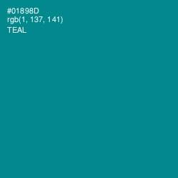 #01898D - Teal Color Image