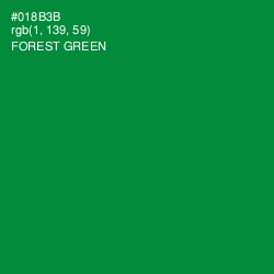 #018B3B - Forest Green Color Image