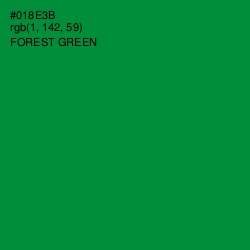 #018E3B - Forest Green Color Image