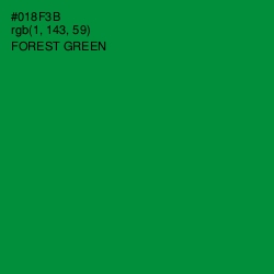 #018F3B - Forest Green Color Image