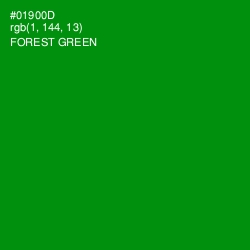 #01900D - Forest Green Color Image