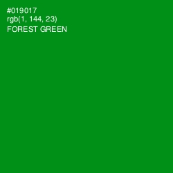 #019017 - Forest Green Color Image
